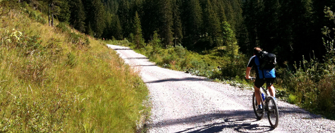 Moutain Biking Valley Rim Short