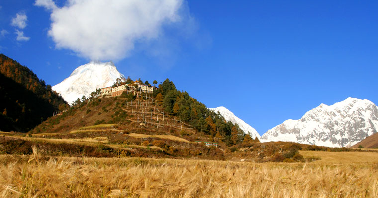 Makalu grassland