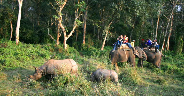 Chitwan jungle safari